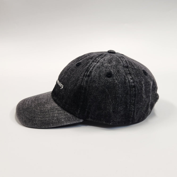 SUNNY SPORTS  / Newhattan / IIVY LEAGUE BASEBALL CAP-DENIM 97　YALE/BLACK