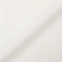 Healthknit / マックスウェイト　ヘンリーネック半袖Tシャツ