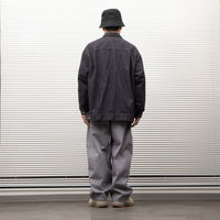 Ordinary fits / JAMES PANTS DENIM