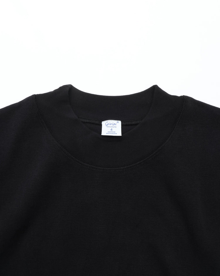 gicipi / ZEBRA 2503A