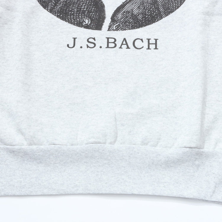 Healthknit CLASSIC SWEAT CREW NECK L/S Bach