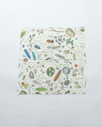 ASEEDONCLOUD Handkerchief 001061 Bird's Nest