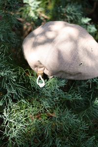 NOROLL   THICKET CAP