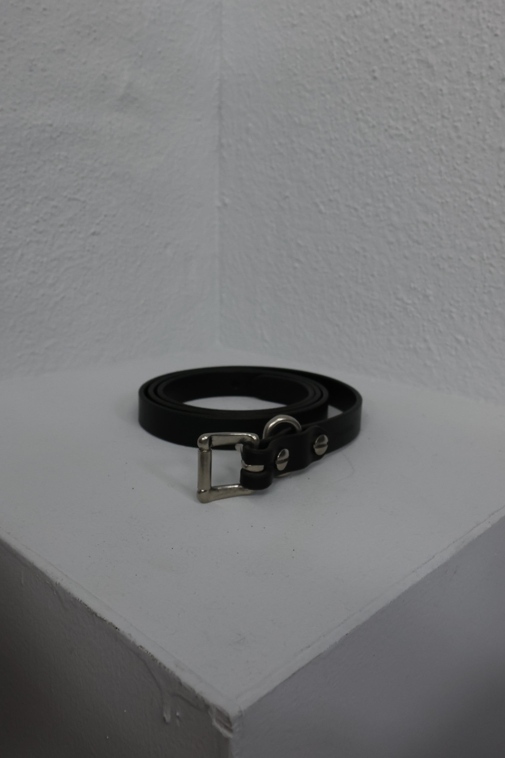 YOKO SAKAMOTO STANDARD BELT SLIM – CASDAY / キャスデイ (casday.jp)