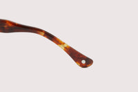 NOCHINO OPTICAL / NOCHINO #8. CITRON & AMBER × GREY GREEN TO D.GREY (Photochromic Model)