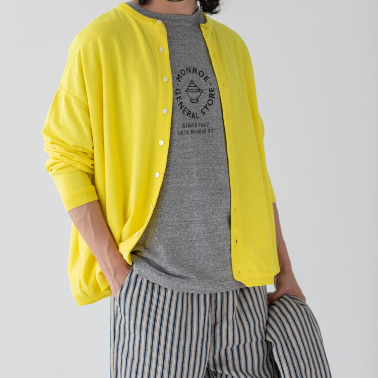 Ordinary fits / PRINT-T / MONROE