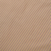 Riprap FF REGULAR COLLAR SHIRT (COTTON POPLIN STRIPE)
