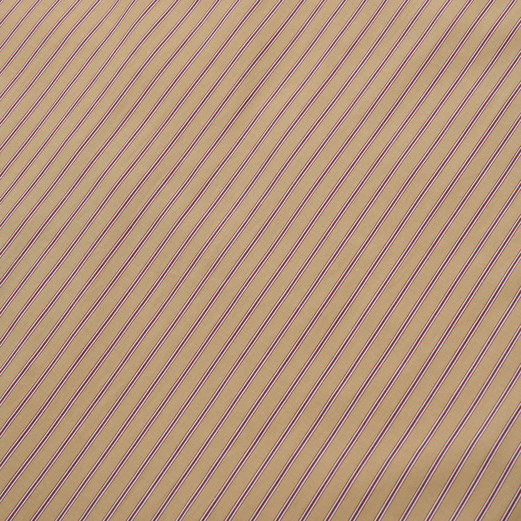 Riprap FF REGULAR COLLAR SHIRT (COTTON POPLIN STRIPE)
