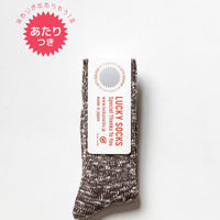 ラッキーソックス / ミックスリブソックス vol3