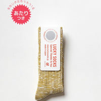 ラッキーソックス / ミックスリブソックス vol3