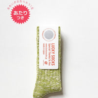 ラッキーソックス / ミックスリブソックス vol3