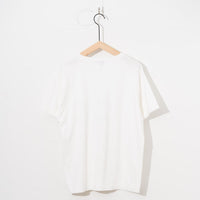 Ordinary fits / PRINT-T / MONROE