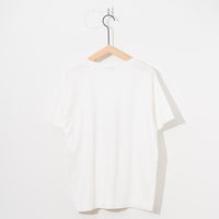 Ordinary fits / PRINT-T / MONROE