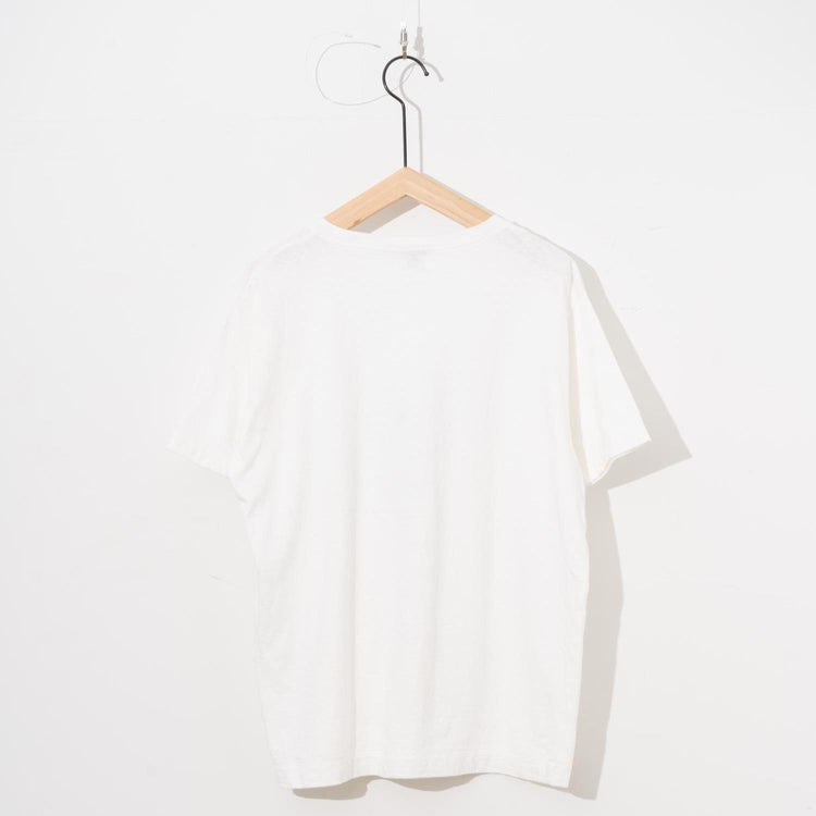 Ordinary fits / PRINT-T / MONROE