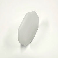 tiinei / 八角プレート 中