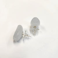 tiinei / 標本箱ピアスガラス・かく